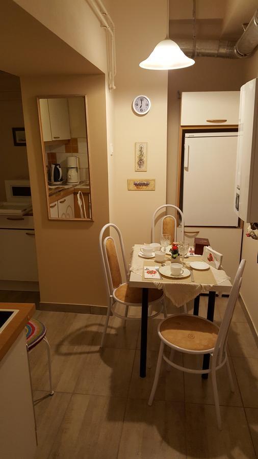 Hangulat Vendeghaz Apartmanok Orosháza Zewnętrze zdjęcie